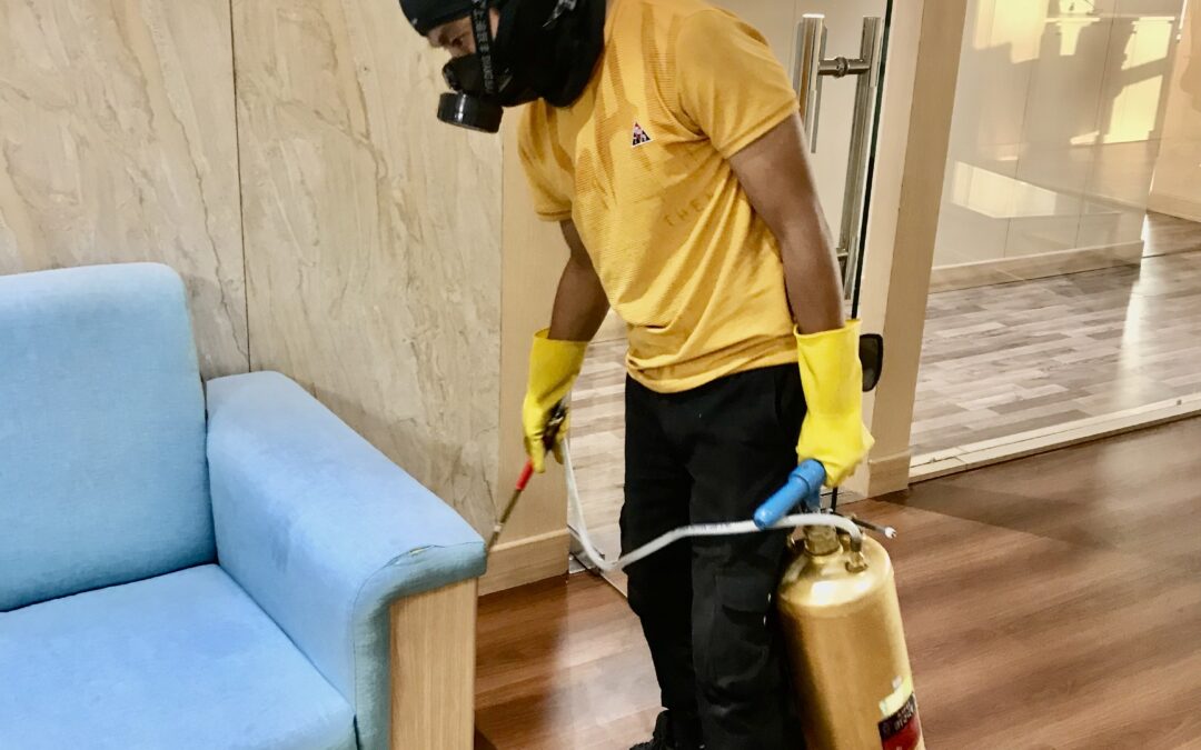Pest Control Services In Kathmandu, Nepal
